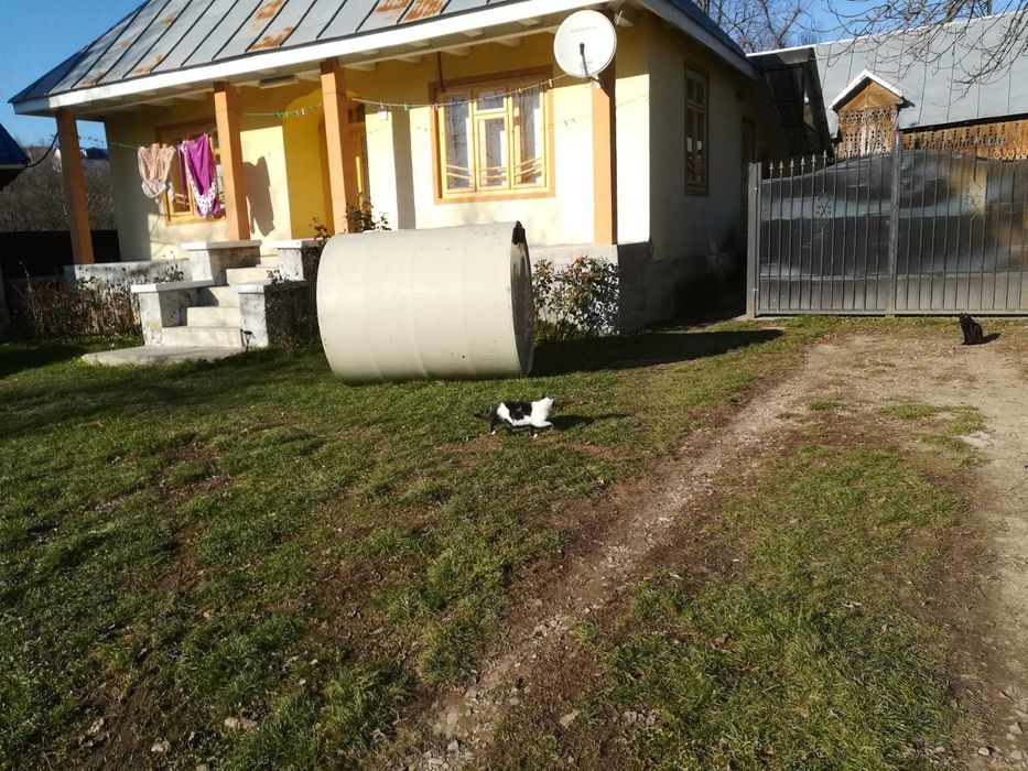 Fosa septica ecologica omologata 2-5 persoane