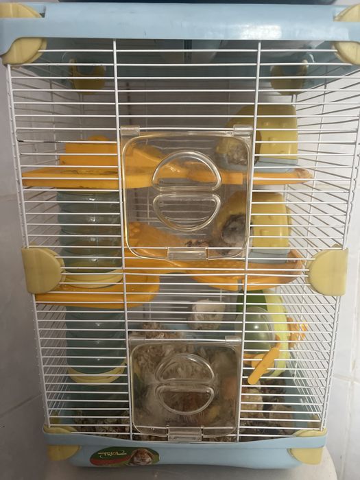 Продам клетку с хомяками