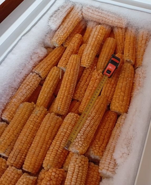 Porumb zaharat congelat Târgoviște