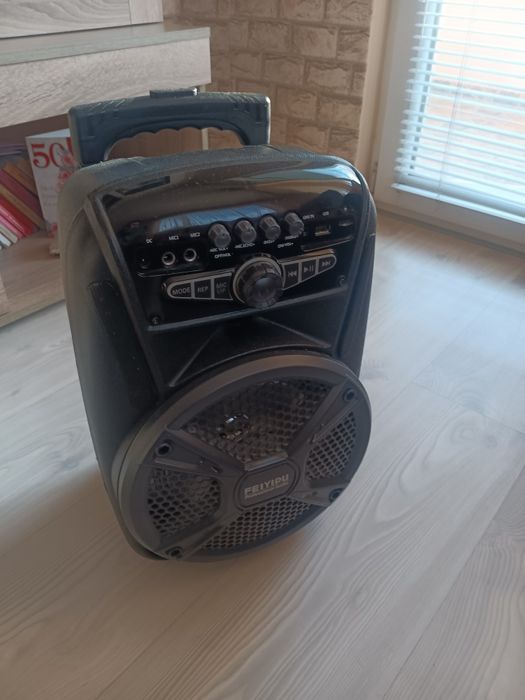 Караоке тонколона FEIYIPU