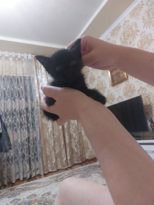 Малыш ждет свою маму!