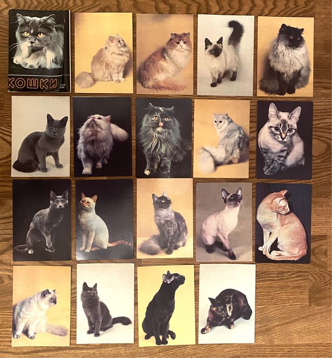 Набор открыток Кошки