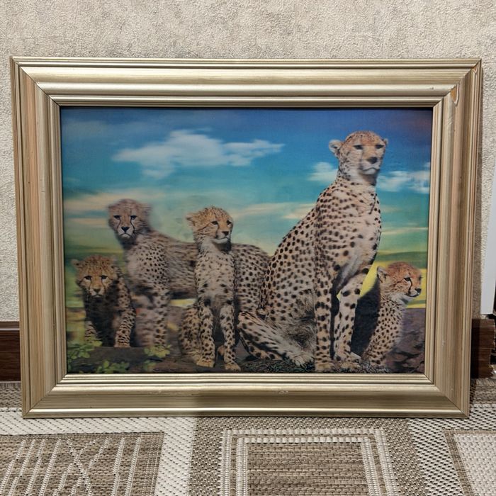 Меняющиеся картинка для дома