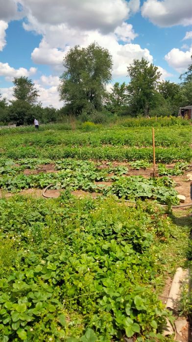 Продам дачу за 7 млн