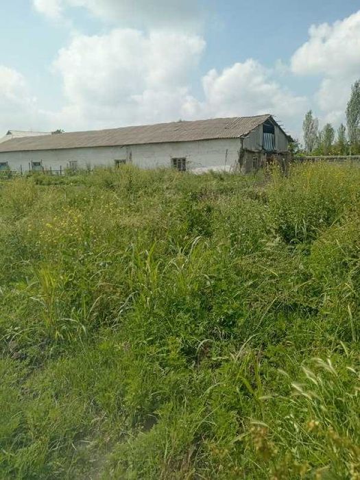 Ер ва тайёр ферма сотилади