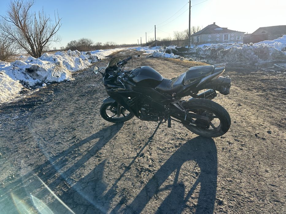 Рейсер скайвей 250