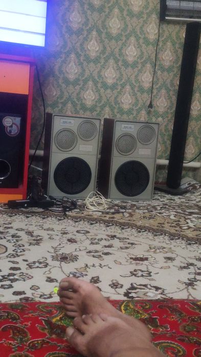 Акустические калонка