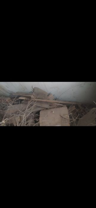 Oʻtin sotiladi 1 labo