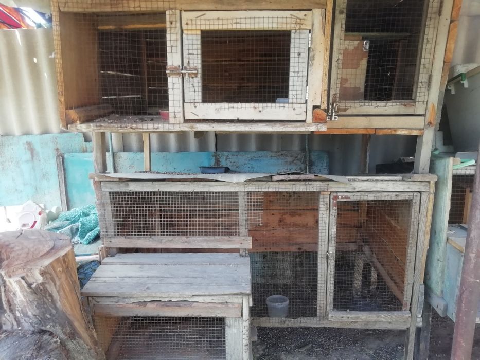 Клетки для кроликов.