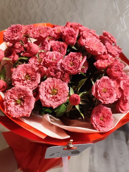 Продам цветы Розы пионовидные