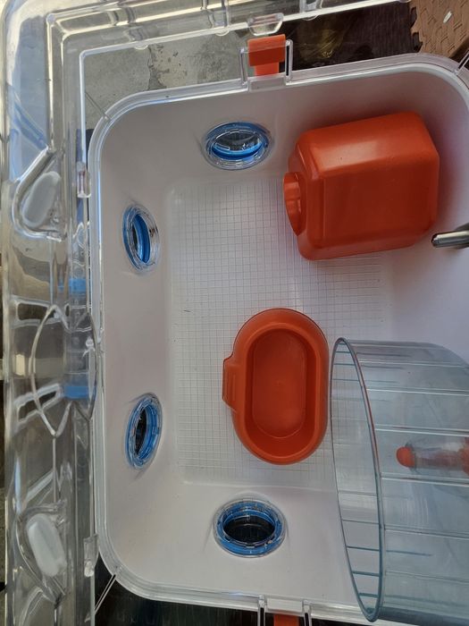 2 Custi hamsteri +1 transport