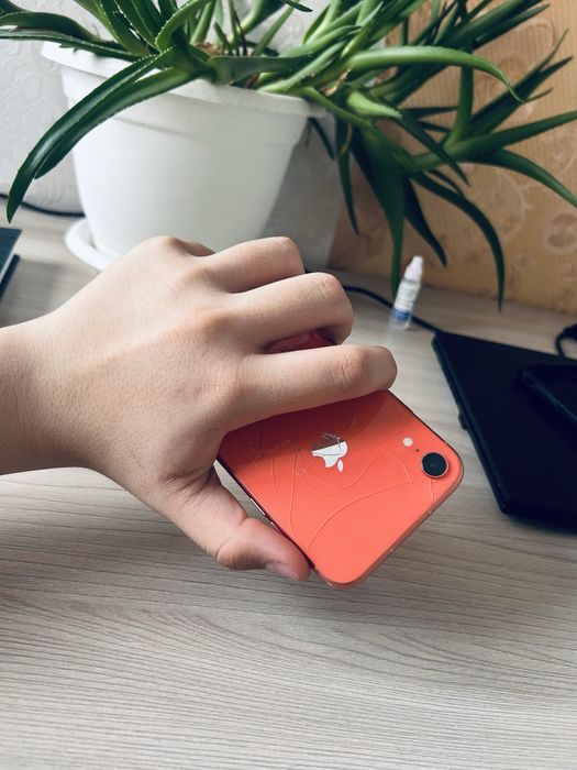 Iphone Xr, Топ состояние, [Торг имеется]