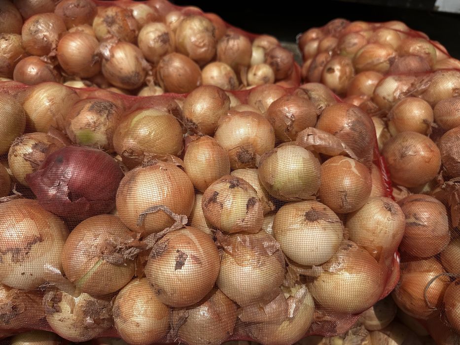 Лук репчатый  с доставкой по городу