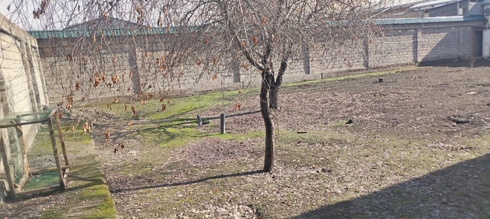 Xovli sotiladi joy sergilida