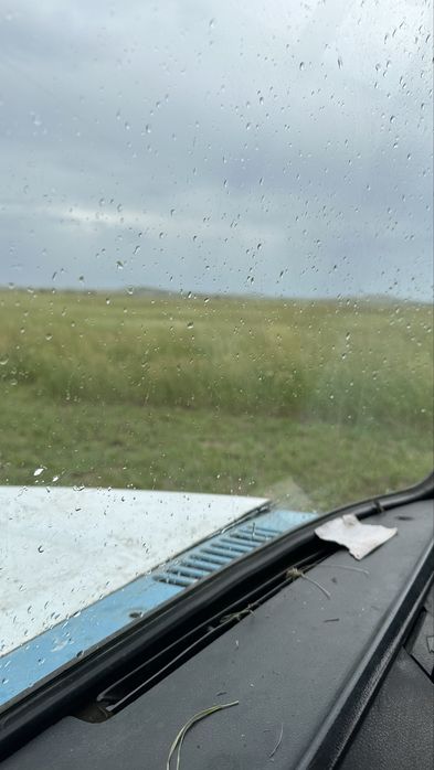 Продаю Сено, шөп сатылады