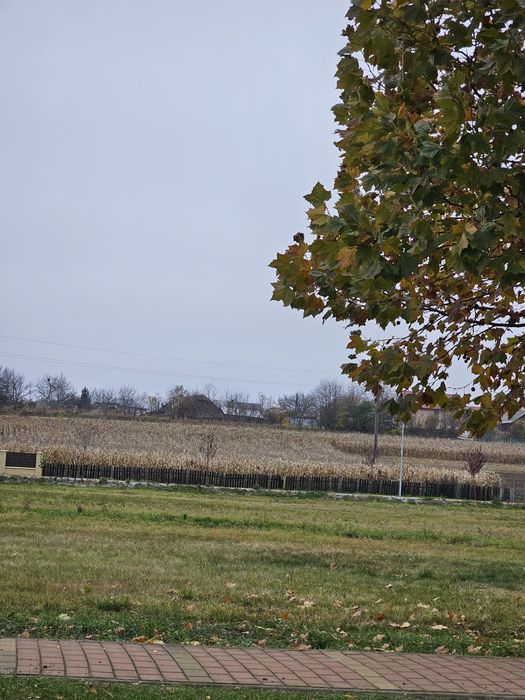 Teren de vanzare 44 ari - zona centrala Maritei
