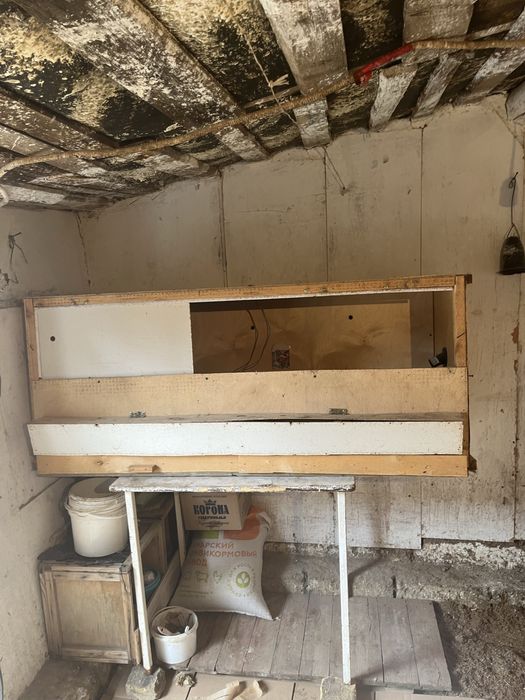 Брудер брудер…..