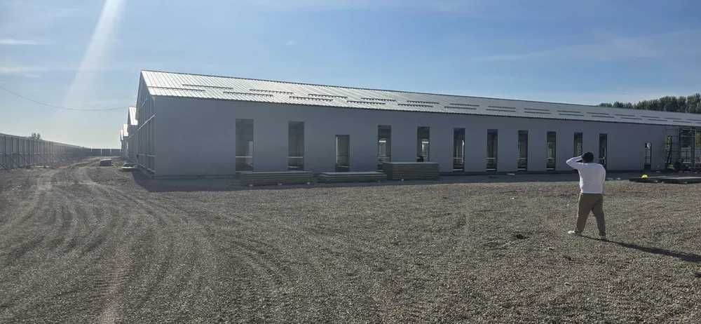 Сендвич, сенвич понели от производителя