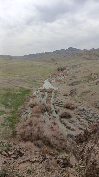 Фазенда сатылады