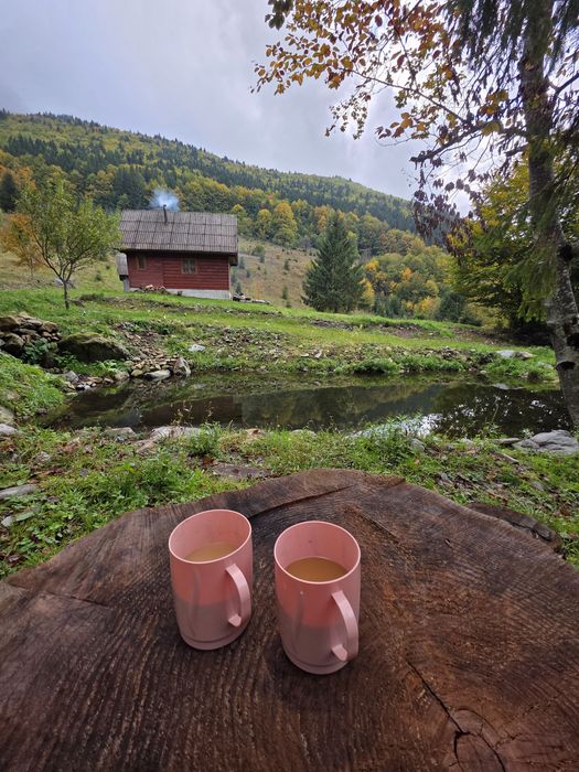 Teren Lunca Visagului