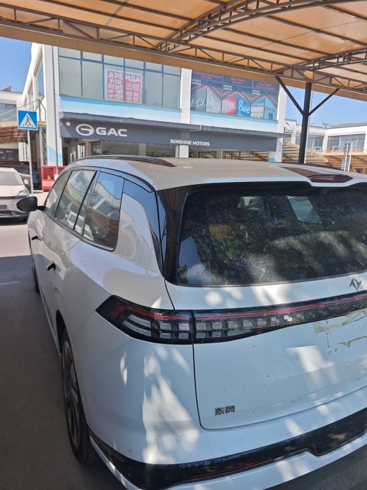 Dongfeng 008 Elektr B.U.