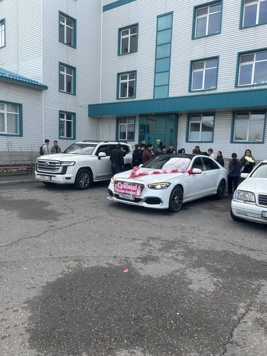 Прокат машина с водителем