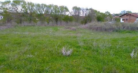 Продава се Парцел в с. Златополе, Област Хасково - 9300 кв.м за 7 €/кв.м - Снимка #3