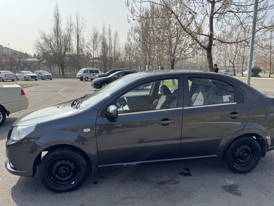 Arendaga Nexia 3 2018/2019 Mexanika kraskasi Tozza