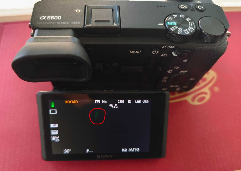 Sony A6600 + accesorii