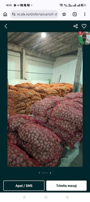 Vând cartofi de sămânță alb și roșu ne puteți găsi în piața la cepele