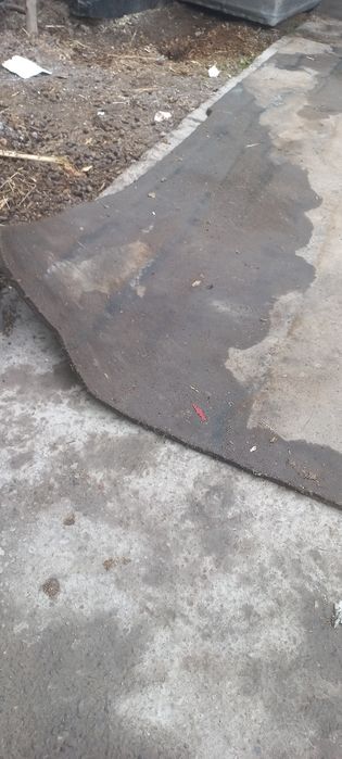 Лабога резинка.  Калинидан