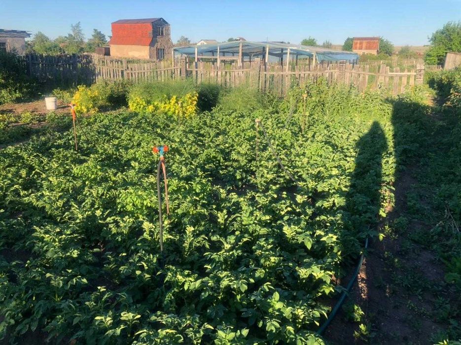 Продам дачу д/о Жемчужина