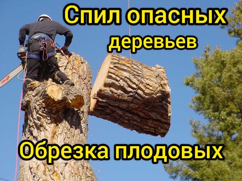 Спил обрезка деревьев.