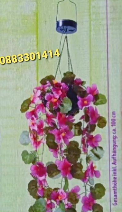 Временно намаление! Соларно осветление Петунии висящи LED лампи