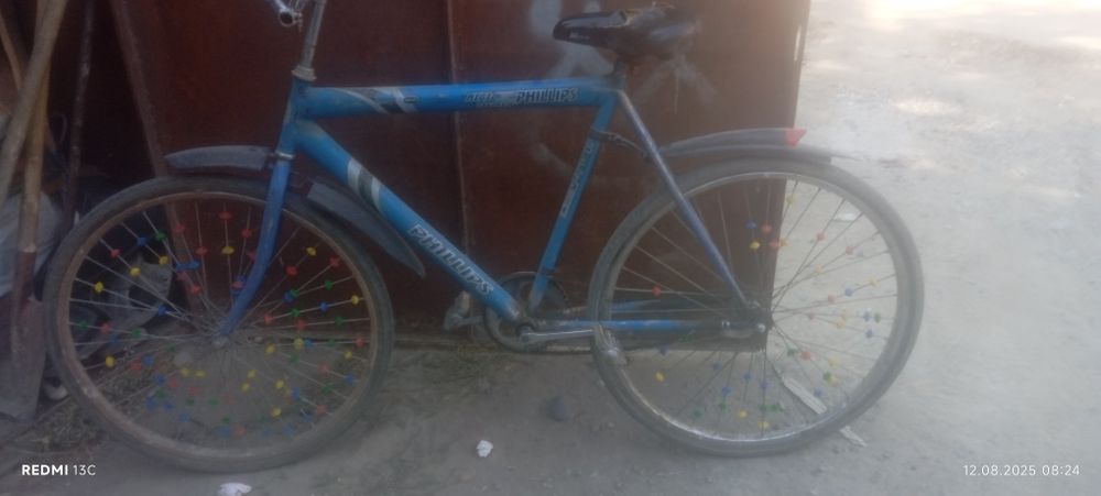 Velik sotiladi arzon