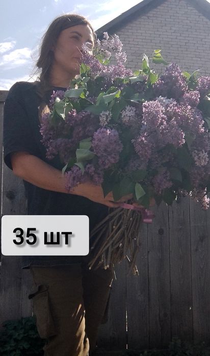 Букеты сирени свежей