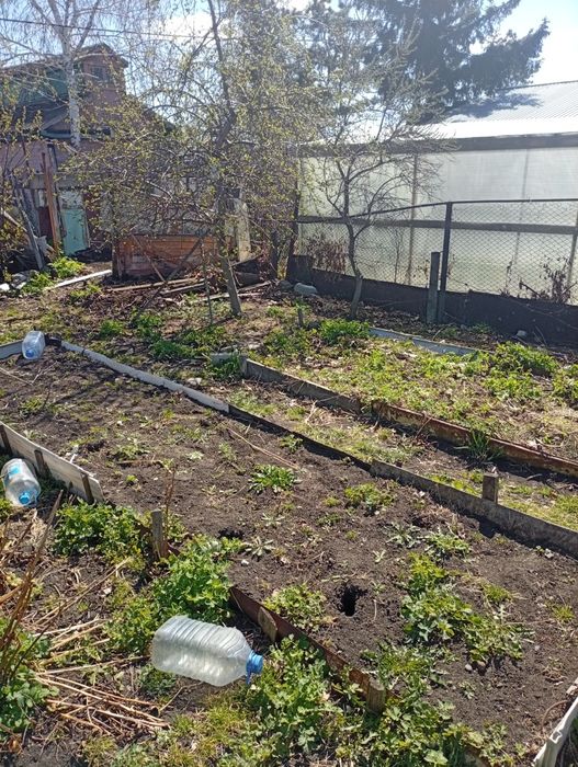 Дача Продам 8 соток Оз Пестрый