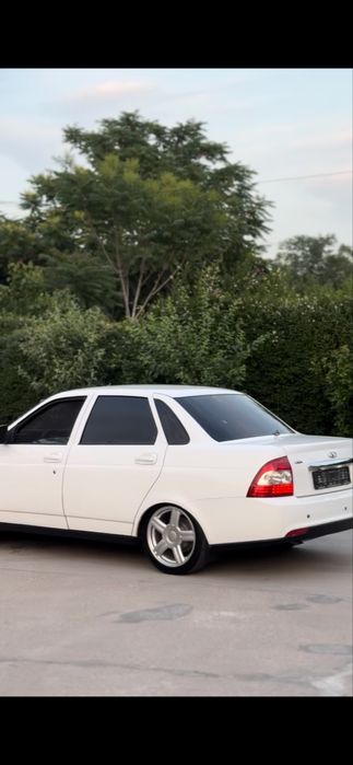 Торус торес обмен атика аттика