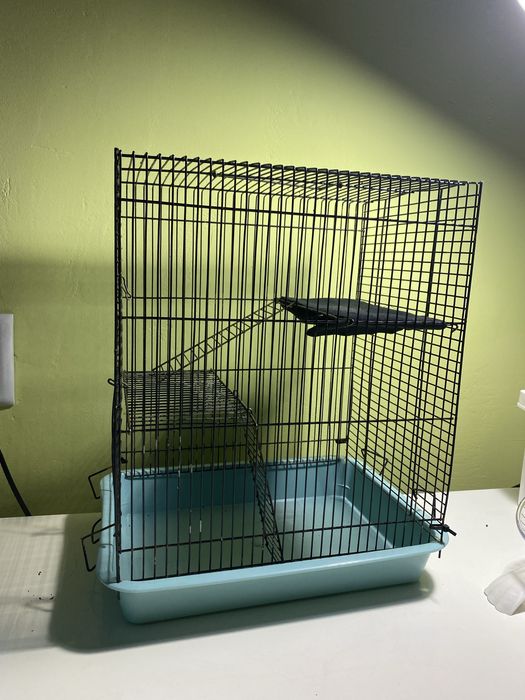 Клетка для хомяка со всем содержимым