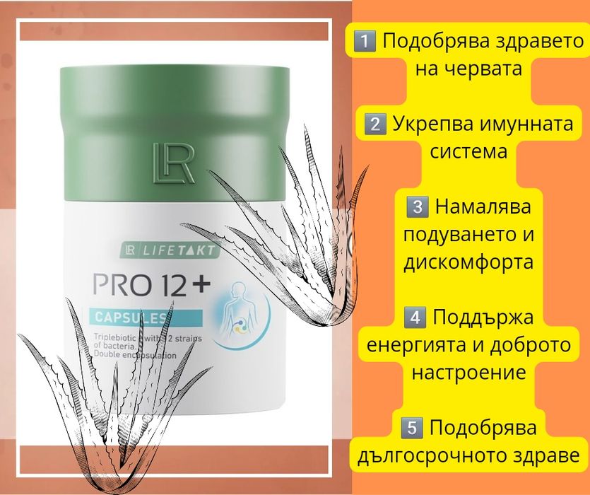 Гъба Рейши, Про12, Про Баланс, Коластра