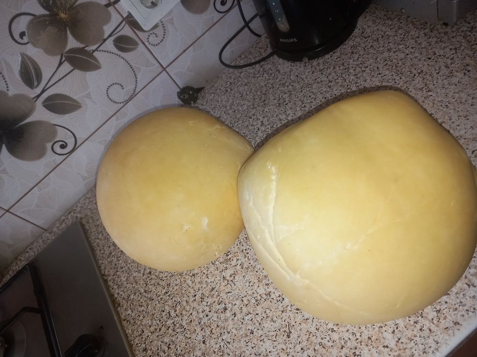 Caș de vacă cu cheag