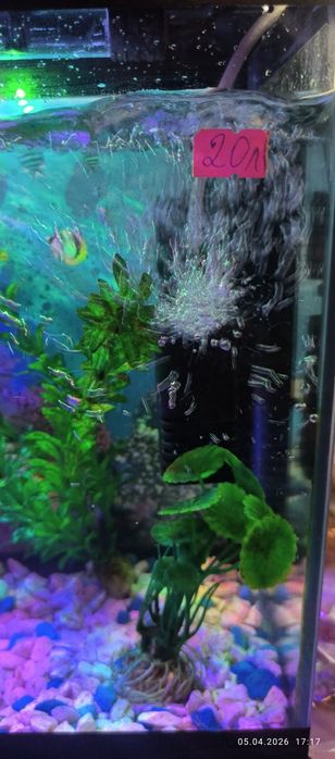 Продам аквариум объём 20л