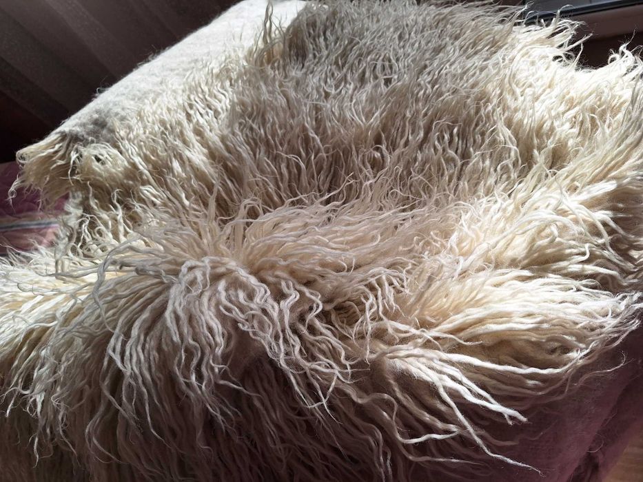 Китеници от вълна за холна гарнитура общо 5 броя