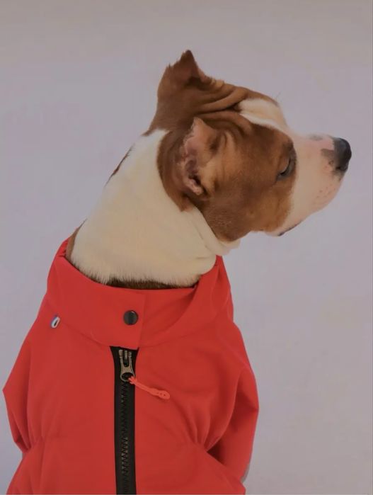Дождевик-комбинезон для собак