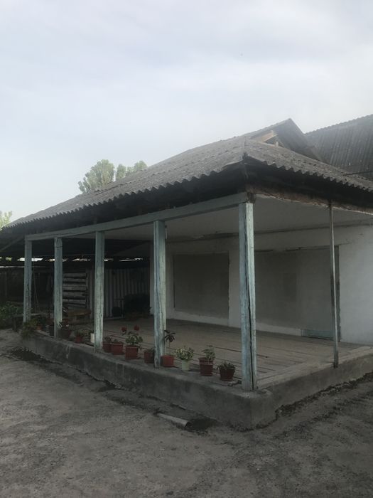 ДOM ташауыл гулсарой 6