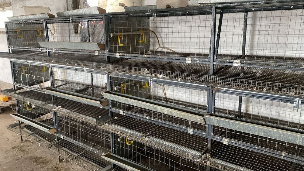 Клетка для несушек