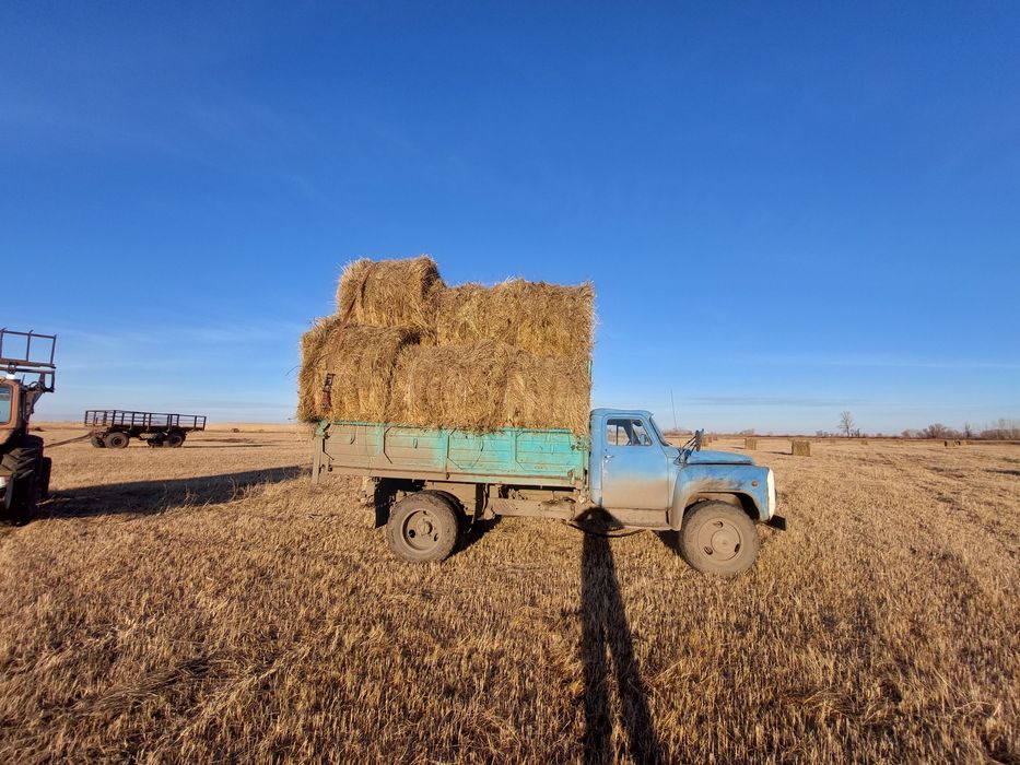 Продам сено в тюках и рулонах