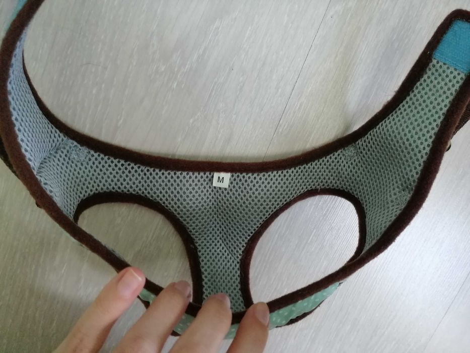 Нагръдник и повод за декоративна порода куче - безплатна доставка