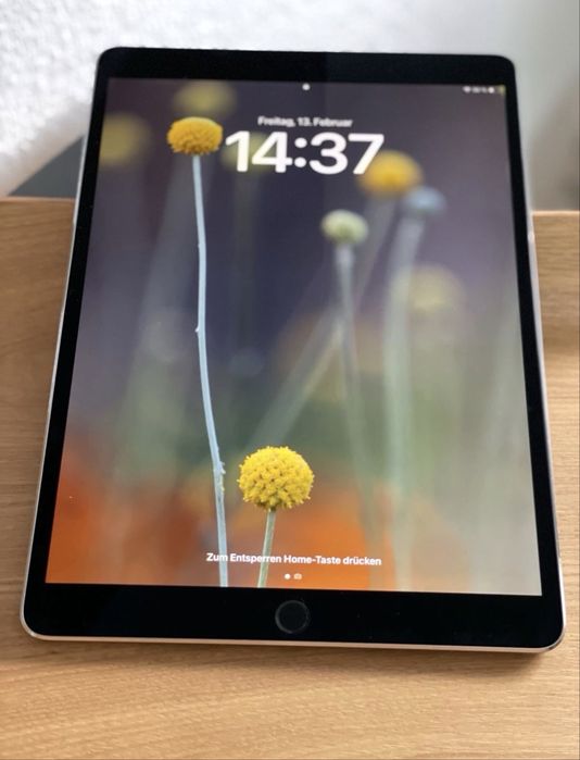 iPad Pro 10.5” 256GB + Apple Pencil