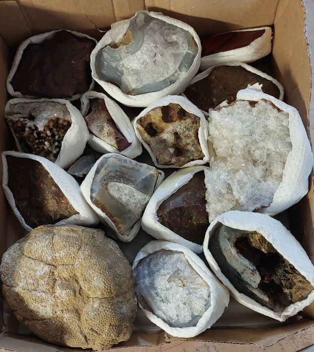 Необработени минерали и фосили